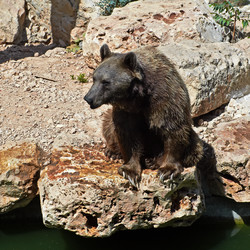 Similar image 1042640