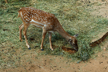 Similar image 1042650