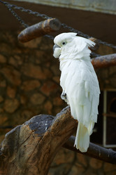 Similar image 1042674