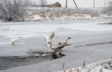 Similar image 1042689