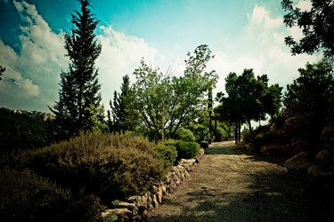 Similar image 1042697