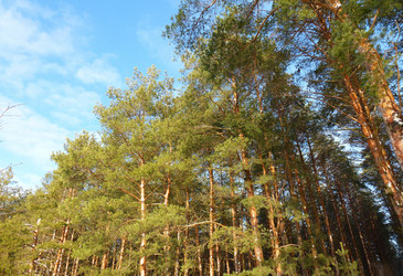 Similar image 1042740