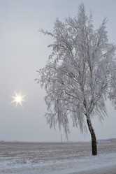 Similar image 1042931