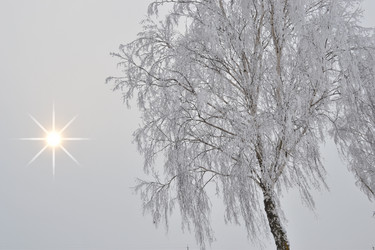 Similar image 1042934