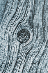 Similar image 1043039