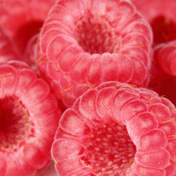 Similar image 1043122