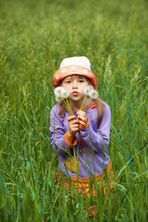 Similar image 1043312