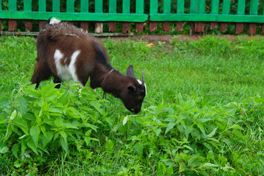 Similar image 1043324