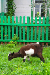 Similar image 1043336