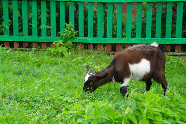 Similar image 1043340