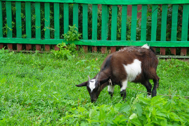 Similar image 1043341