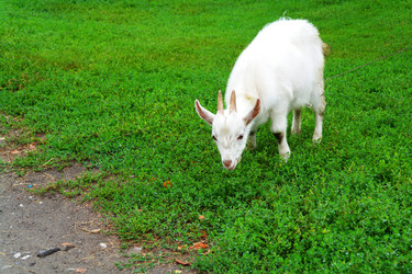 Similar image 1043350