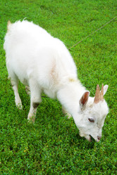 Similar image 1043353