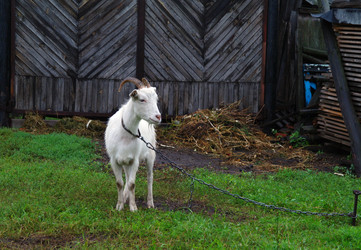 Similar image 1043358