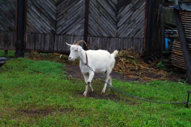 Similar image 1043360