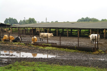 Similar image 1043408