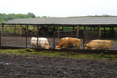 Similar image 1043410