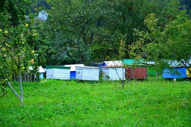 Similar image 1043607