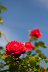 Similar image 1043610