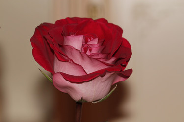 Similar image 1043623