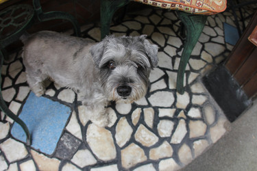 Similar image 1043634