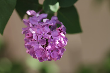 Similar image 1043637