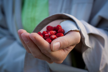 Similar image 1043647