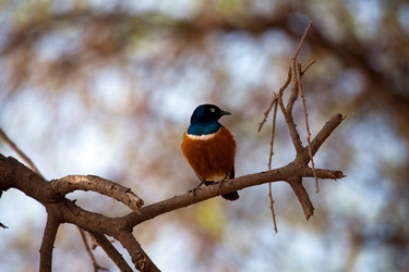 Similar image 1043664