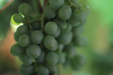 Similar image 1043690