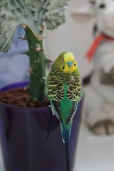 Similar image 1043699