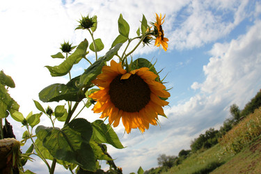 Similar image 1043708