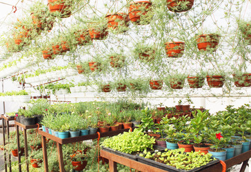 Similar image 1043711