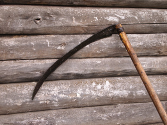 Similar image 1043746