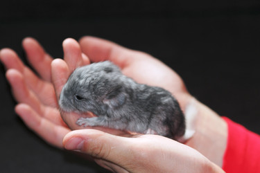 Similar image 1043809