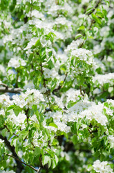 Similar image 1043821