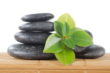 Similar image 1043906