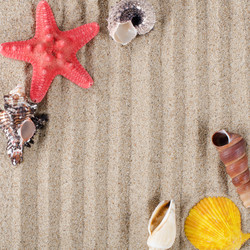 Similar image 1043915