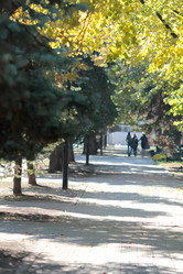 Similar image 1044075