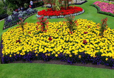 Similar image 1044131