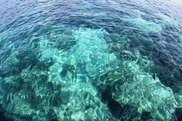 Similar image 1044211