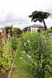 Similar image 1044226