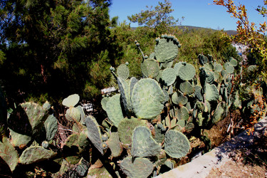 Similar image 1044242