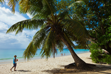 Similar image 1044270