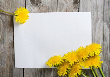 Similar image 1044291