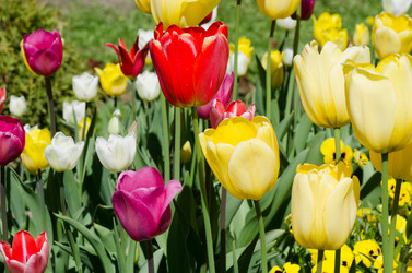 Similar image 1044297