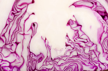 Similar image 1044337