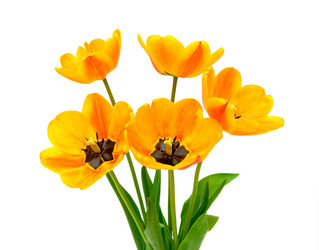 Similar image 1044442