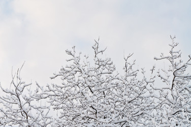 Similar image 1044695