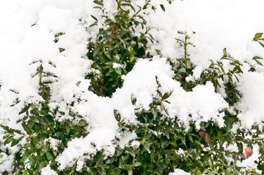 Similar image 1044697