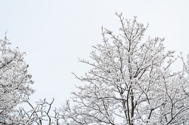 Similar image 1044699